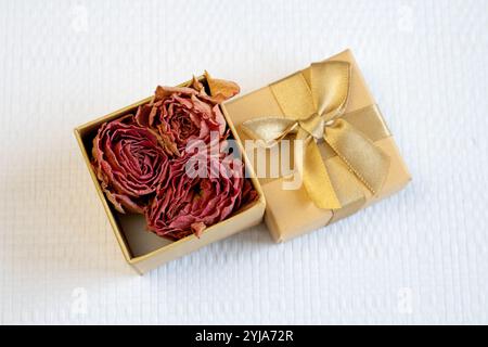 Getrocknete rosa Rosenknospen auf hellviolettem Hintergrund, Vorderansicht Stockfoto