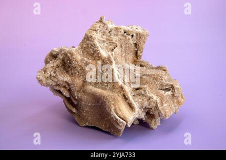 Alte alte versteinerte Holz, Ausgrabung, Mineralien, als schöner Hintergrund Nahaufnahme Vorderansicht schmale Fokuslinie, geringe Tiefenschärfe Makro Stockfoto