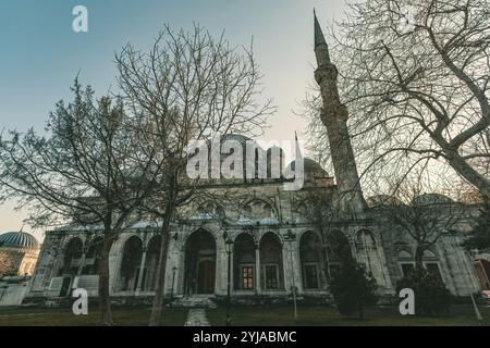 Außendetails der Beyazid Moschee in Istanbul, Türkei Stockfoto