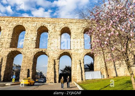 Altes Steinaquädukt und blühende Magnolien in Istanbul Türkei Stockfoto