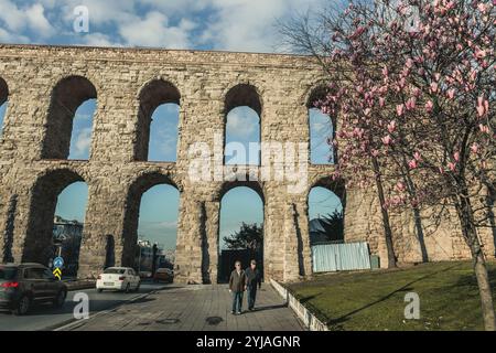 Altes Steinaquädukt und blühende Magnolien in Istanbul Türkei Stockfoto