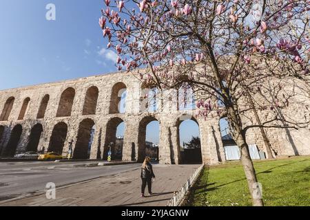 Altes Steinaquädukt und blühende Magnolien in Istanbul Türkei Stockfoto