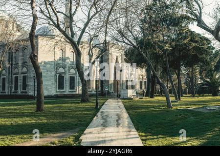 Außendetails der Beyazid Moschee in Istanbul, Türkei Stockfoto