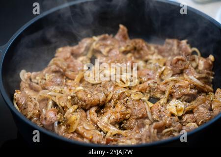 Gebratene Gyros mit hausgemachten Tzatziki und griechischen Gewürzen Stockfoto