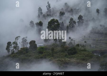 Nebelmeer über einem kleinen Dorf in der Hochsaison des Winters im Dezember am Kodaikanal, Tamilnadu. Stockfoto