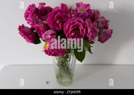 Verwelkte rosa Rosen in einer Vase auf dem Tisch Stockfoto