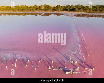 Aus der Vogelperspektive verrotteter Furchenpfosten in einem rosa Salzsee bei Dimboola im Stadtteil Wimmera in Victoria, Australien Stockfoto