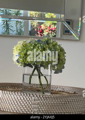 Elegante Inneneinrichtung mit einer Glasvase mit Hortensien auf einem Korbtisch, modernem Spiegel und Tageslicht für ein ruhiges Ambiente Stockfoto