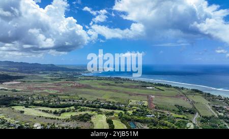 Aus der Vogelperspektive wird ein lebendiges grünes Feld neben dem Ozean gezeigt. Stockfoto