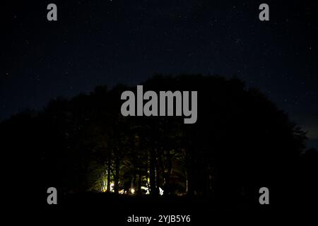 Lagerfeuer unter einem Sternenhimmel im Wald Stockfoto