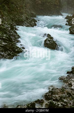 Der Fluss Radovna, der durch die Vintgar-Schlucht (auch bekannt als Bled-Schlucht) fließt, im Nationalpark Triglav, Slowenien Stockfoto