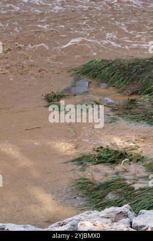 Das Foto zeigt einen schlammigen Fluss in vollem Fluss, der an Felsen vorbeirauscht, die mit Gras geschmückt sind. Das turbulente Wasser und die dynamische Bewegung sorgen für ein lebendiges Pfosten Stockfoto