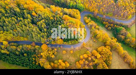 Eine kurvige Straße schlängelt sich durch eine farbenfrohe Landschaft, die mit lebhaftem Herbstlaub geschmückt ist und in Gelb-, Orange- und Rottönen zu sehen ist, während die Blätter mit der Jahreszeit übergehen. Stockfoto