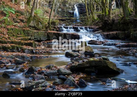 Wasserfall auf Bow Lee Beck, Teesdale Stockfoto