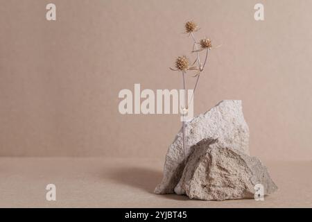 Abstrakte Naturszenen-Zusammensetzung von Steinen getrocknete Blumen, Steinpodium-Produktplatzierungskonzept auf Biege-Hintergrund. Innendesign. Kopierraum. Stockfoto