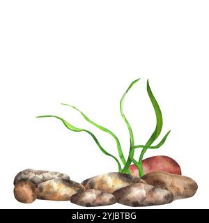 Flusssteine und Algen. Fluss, See, Meeresboden. Angelclipart. Handgezeichnete Aquarellillustration. Stockfoto