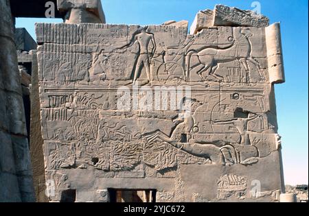 Entlastung der Schlacht von Kadesh, Pharao Ramses II. im Wagen kämpfen Hethiter Feind des Königs Muwatallis, 1294 BC. Karnak Luxor Ägypten. Stockfoto