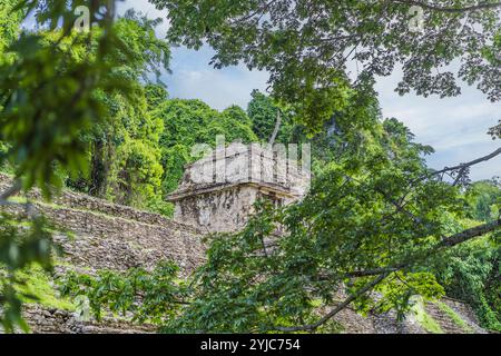 Die alten Pyramiden von Palenque in Mexiko, umgeben von üppigem Dschungel. Berühmte archäologische Stätte mit Maya-Kultur und Geschichte. Reisen Stockfoto