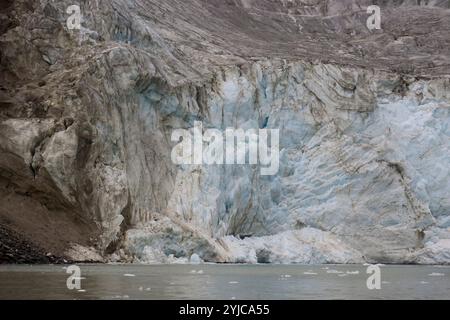 Wunderschöner Gletscher in der Nähe der Alkefjellet Klippen, Svalbard Stockfoto