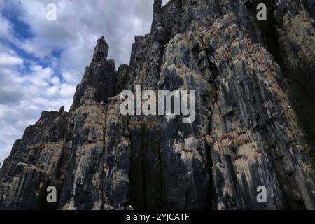 Die spektakuläre Alkefjellet Klippe mit Guillemots, Doleritsäulen, Svalbard Stockfoto