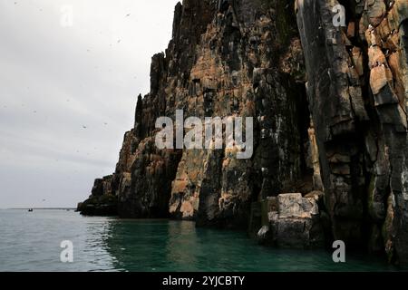 Die spektakuläre Alkefjellet Klippe mit Guillemots, Doleritsäulen, Svalbard Stockfoto