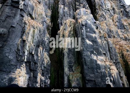 Die spektakuläre Alkefjellet Klippe mit Guillemots, Doleritsäulen, Svalbard Stockfoto