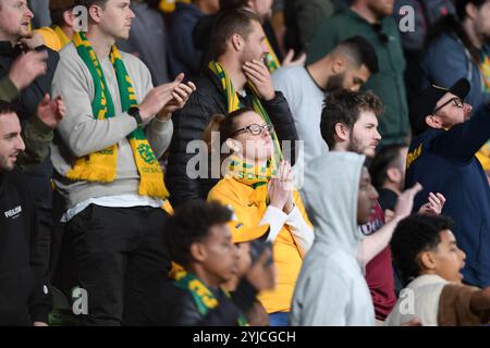 MELBOURNE, AUSTRALIEN. November 2024. Ein australischer Socceroos-Unterstützer betet, nachdem das späte Tor Saudi-Arabiens vom VAR abgelehnt wurde, weil er am 14. November 2024 in der dritten Runde der AFC-WM-Qualifikationsrunde der Gruppe C Australien gegen Saudi-Arabien im Rectangular Stadium im AAMI Park in Melbourne war. Quelle: Karl Phillipson/Alamy Live News Stockfoto