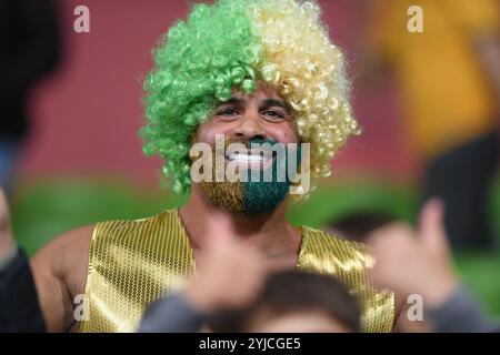 MELBOURNE, AUSTRALIEN. November 2024. Ein australischer Socceroos-Fußballfan mit einem gefärbten Bart und einer Lockenperücke in den grünen und goldenen Farben Australiens in der dritten Runde der GruppenC Australien gegen Saudi Arabien AFC World Cup Qualifiers im Rectangular Stadium in Melbourne im AAMI Park am 14. November 2024. Quelle: Karl Phillipson/Alamy Live News Stockfoto