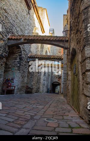 TALLINN, ESTLAND - 14. November 2024: Catherine Lane ist eine kurze Spur (135 m) im historischen Stadtteil der Altstadt Stockfoto