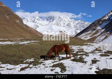 Atemberaubende Ausblicke auf Mestia und Ushguli in Georgien, mit traditioneller Architektur und atemberaubenden Berglandschaften. Stockfoto