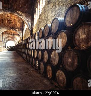 Cavas Codorniu, 1902-1915. Bodega grande. Nave COLUMNAS. Tres arcos de medio punto sobre pilares, que soportan los arcos torales de ladrillo de las vueltas. Barricas. Modernismo. Sant Sadurní d'Anoia. AUTOR: JOSEP PUIG I CADAFALCH. Stockfoto