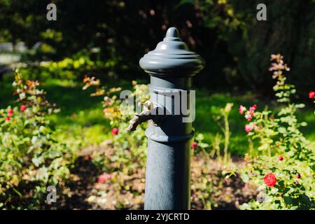 Nahaufnahme einer Frauenhand, die auf der Straße oder im Park der Stadt den Wasserhahn eines alten Wasserhahns mit Trinkwasser an- oder abschaltet. Fließendes Wasser. Stockfoto