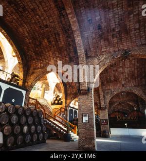 Cavas Codorniu, 1902-1915. Bodega grande. Nave COLUMNAS. Tres arcos de medio punto sobre pilares, que soportan los arcos torales de ladrillo de las vueltas. Modernismo. Sant Sadurní d'Anoia. AUTOR: JOSEP PUIG I CADAFALCH. Stockfoto