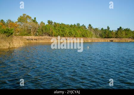 Gangneung, Südkorea - 3. November 2024: Ein malerischer Blick auf eine hölzerne Promenade entlang des waldreichen Randes des Hyang Lake, umgeben von Herbst C Stockfoto