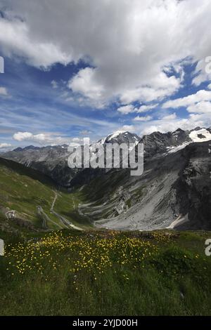 Panoramablick auf die Berge im Sommer, Stilfserpass, Nationalpark Stilfserjoch, Stilfserjoch, Südtirol, Trentino-Südtirol, Italien, Europa Stockfoto