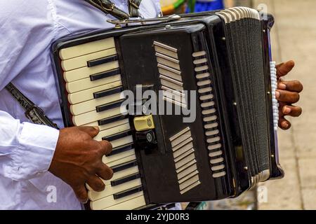 Hände eines Akkordeonisten, der sein Instrument während eines religiösen Festivals in den Straßen von Belo Horizonte, Brasilien, Belo Horizonte, Minas Gerais, Brazi spielt Stockfoto