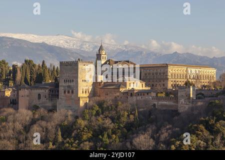 Alhambra auf dem Sabikah-Hügel, maurisches Stadtschloss, Nasridenpaläste, hinter der schneebedeckten Sierra Nevada, Mirador de San Nicolas, Granada, Andalusien, Stockfoto