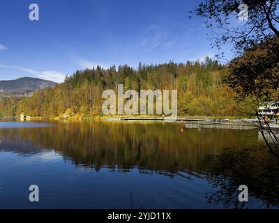 Herbststimmung am Hechtsee bei Kufstein, Tirol, Österreich, Europa Stockfoto