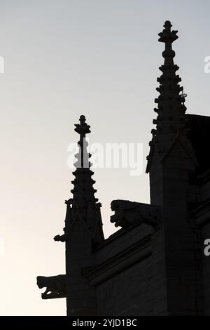 Mythologische Figuren wie Wasserspeier, Silhouette, mittelalterliche Kathedrale, Visby Kathedrale, Marienkirche, ehemalige Hansestadt Visby, UNESCO World her Stockfoto