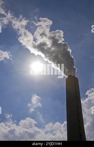 STEAG EVONIK Walsum Kohlekraftwerk Duisburg, Rhein, Nordrhein-Westfalen, Ruhrgebiet, Deutschland, Europa Stockfoto