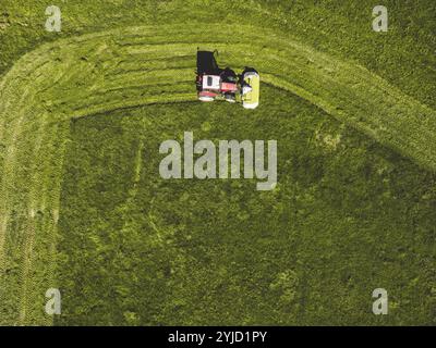 Aus der Vogelperspektive eines Traktors, der ein grünes, frisches Grasfeld mäht, ein Landwirt in einem modernen Traktor, der an einem sonnigen Tag ein grünes, frisches Grasfeld mäht. Stockfoto