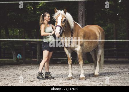 Kaukasische Frau kümmert sich um ihr Pferd im Stall und draußen, putzt sein Har mit einer Haarbürste. Wunderschönes, freundliches braunes Pferd, das geduldig wartet Stockfoto