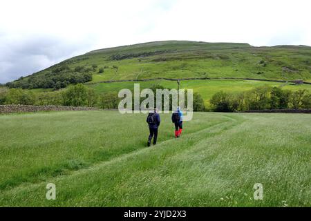 Zwei Männer (Wanderer), die am Kisdon Hill auf dem Pennine Way durch die Hay Meadows von Thwaite im Swaledale, Yorkshire Dales National Park, spazieren. England, Großbritannien. Stockfoto