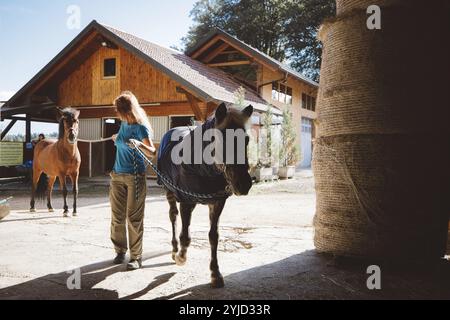 Reife weiße Frau, Besitzerin des Pferdes, nimmt ihn mit auf die Ranch. Schönes braunes Pferd, das an einem Sommertag mit seinem Trainer spaziert Stockfoto