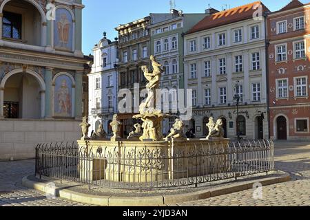 Polen, Posen, Großpolen, Wielkopolska, Altstadt, La Vieille Ville, Rathaus, L'Hotel de Ville, Ratust, Brunnen Proserpina, Fontanna Prozerpin Stockfoto