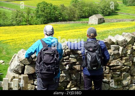 Zwei Männer (Wanderer) stehen an einem Tor und einer trockenen Steinmauer mit Blick über die Hay Meadows nach Thwaite in Swaledale am Pennine Way, Yorkshire Dales, England. Stockfoto