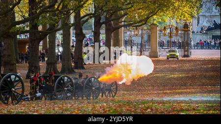 The Green Park, London, Großbritannien. November 2024. Die Königstruppe Royal Horse Artillery feuert einen feierlichen 41-Kanonensalut vom Broad Walk im Green Park um 12 Uhr aus sechs Feldgeschützen aus der Zeit des Ersten Weltkriegs für den Geburtstag seiner Majestät des Königs ab. Die Kanonen wurden von 71 Pferden aus Wellington Barracks in Richtung Hyde Park gebracht, bevor sie mit Geschwindigkeit zurückkehrten, um den Salute im Green Park zu gründen, der derzeit mit Herbstlaub gefärbt ist. Quelle: Malcolm Park/Alamy Live News Stockfoto