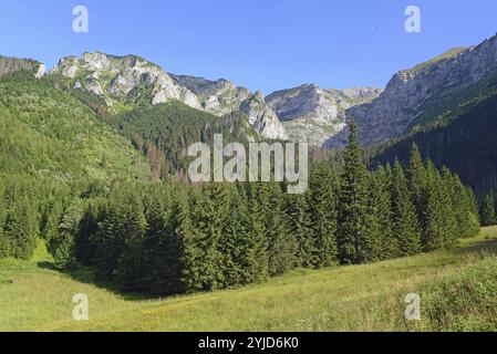 Rote Gipfel, Czerwone Wierchy, von Wantule aus gesehen, Westtatra, polnische Tatra Stockfoto