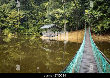 Wunderschöne Natur von Borneo Regenwald Hängebrücke über den See und eine Holzhütte Sandakan Malaysia Stockfoto