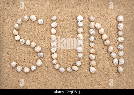 Wort SONNE gebildet aus Schneckenschalen in feinem braunem Sand Stockfoto